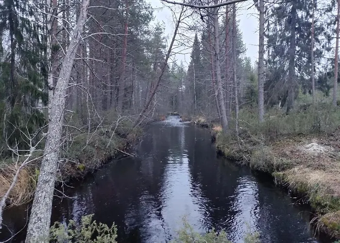 Finn Kangasjoki 营地 苏奥穆斯萨尔米