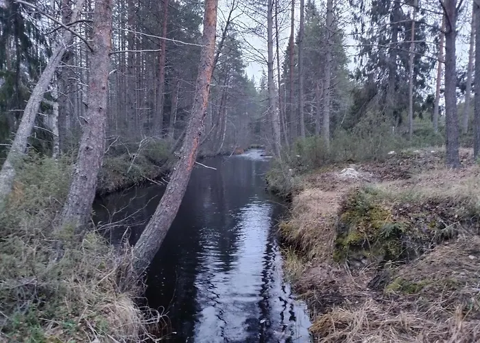 Finn Kangasjoki 3* 苏奥穆斯萨尔米