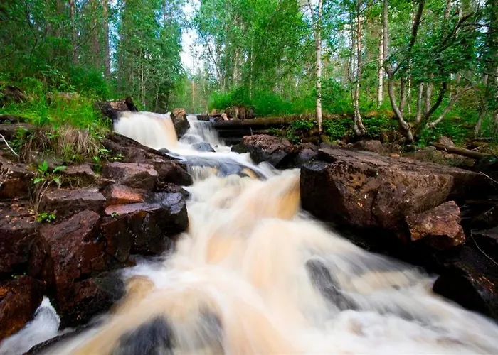Finn Kangasjoki 营地 苏奥穆斯萨尔米